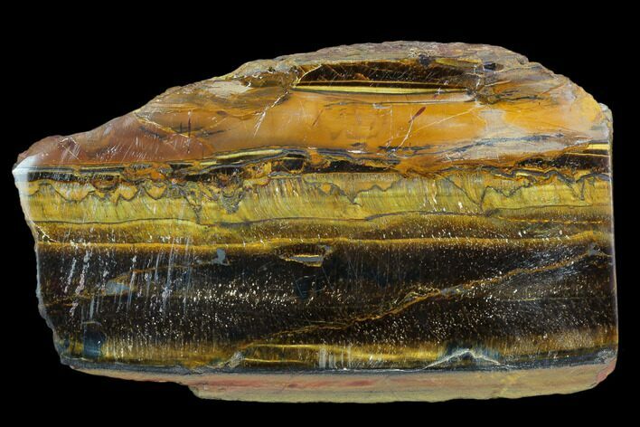 Polished Tiger's Eye Section - South Africa #128493